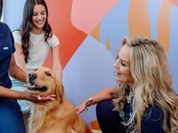Petfolk: The Vet You'll Actually Enjoy Going To